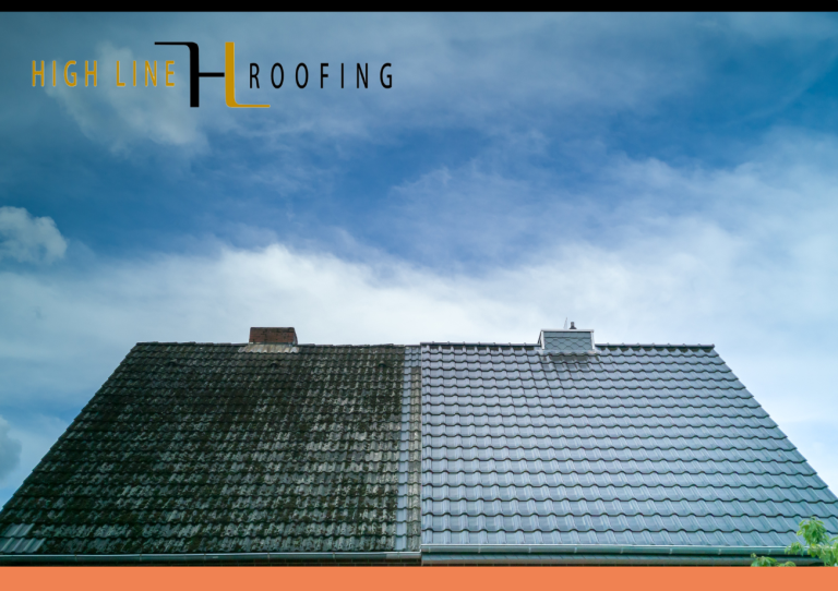 Season-Proof Your Roof: The Ultimate Homeowner's Guide to Year-Round ...